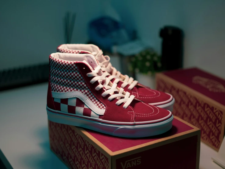 the vans shoes are red and white checkered