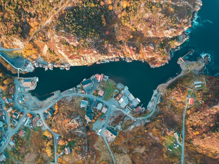 a body of water with trees near it