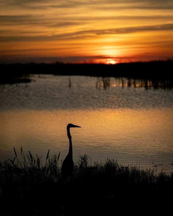 an image of the sunset in the water