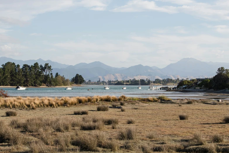 a river surrounded by wooded trees and mountains in the distance