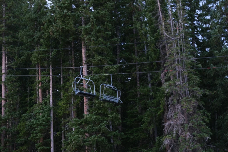 there is a gondola in the air over the trees