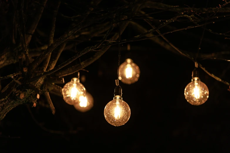 some lights hanging from a tree with a few hanging bulbs