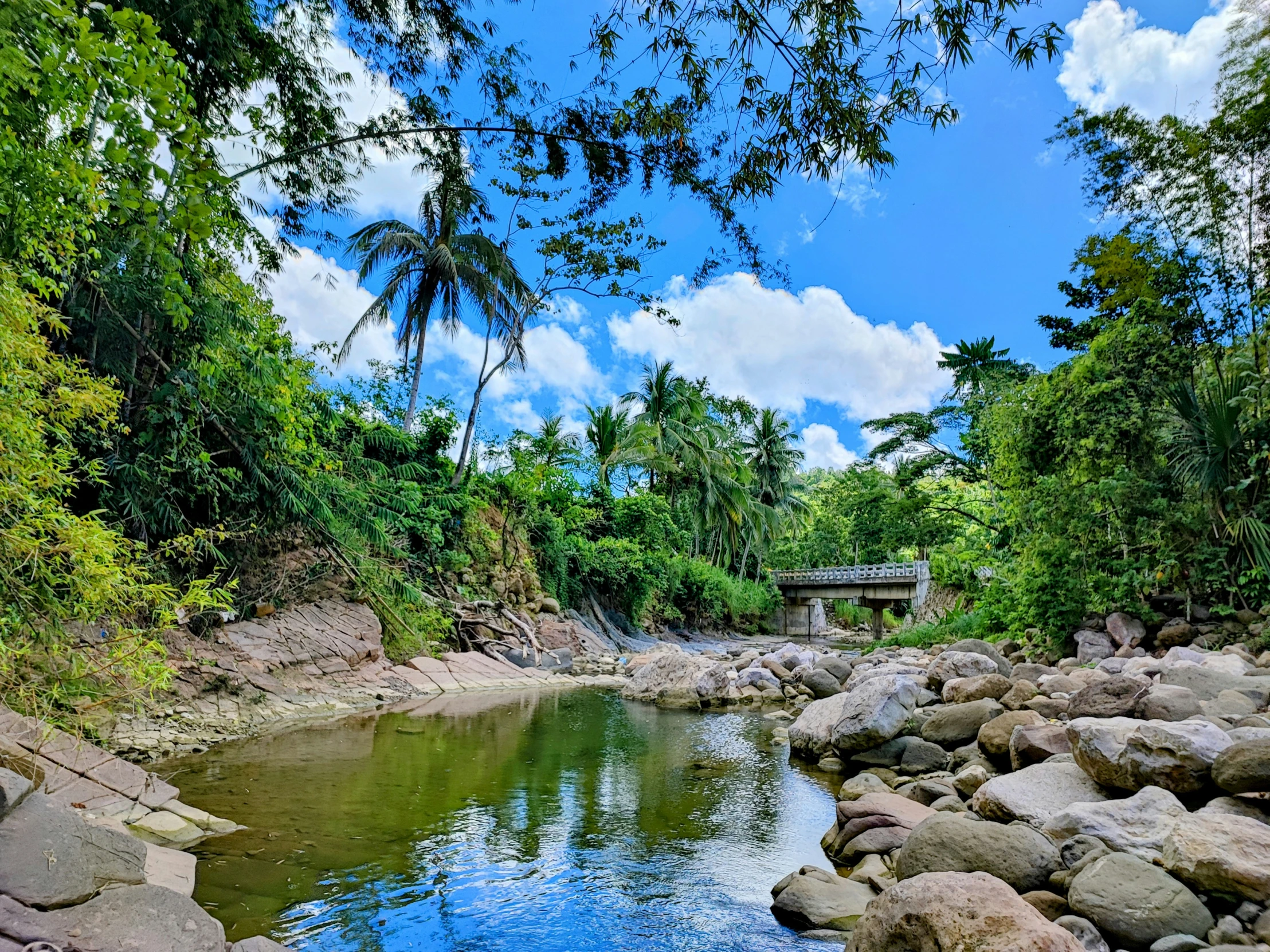 a body of water surrounded by trees and rocks