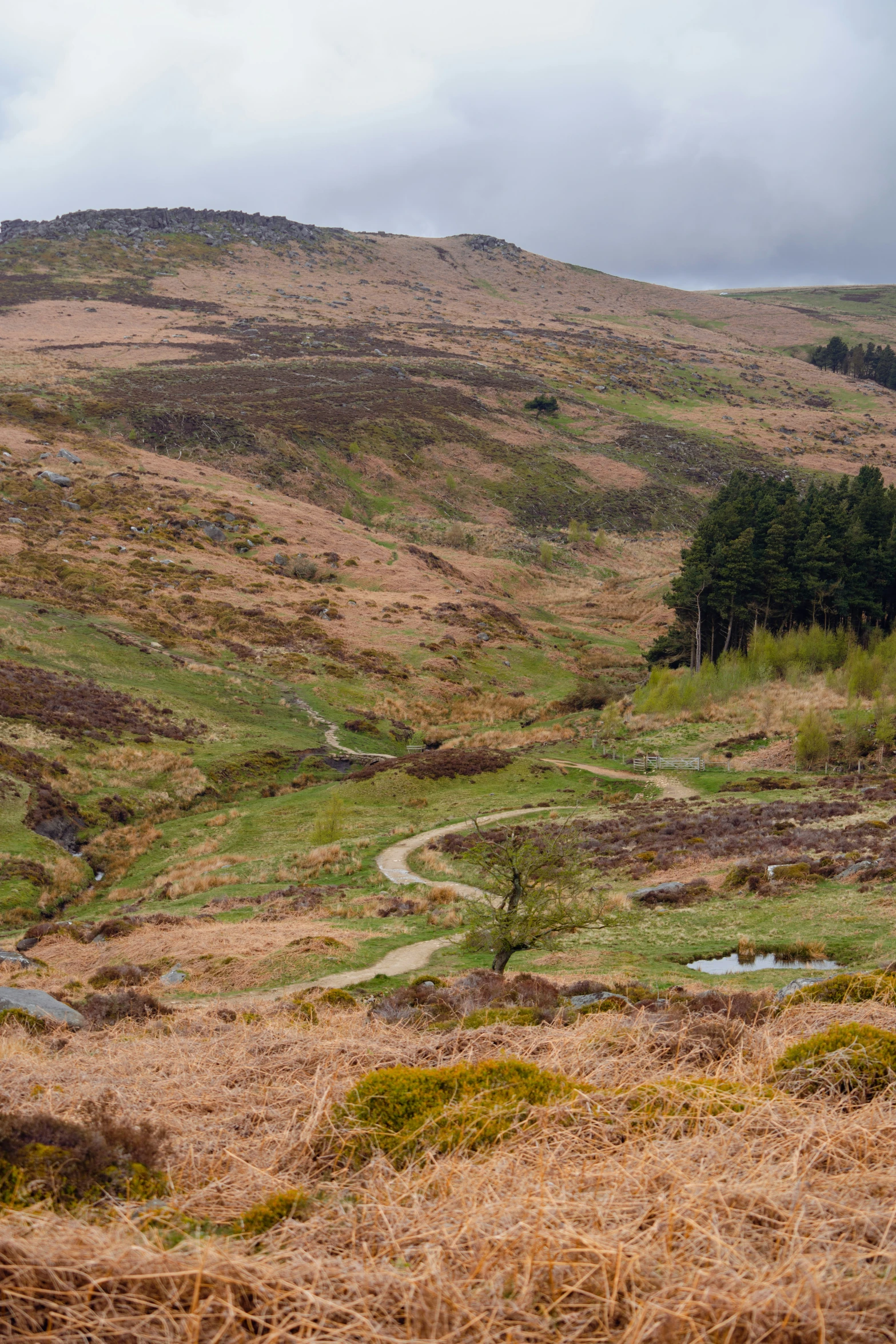 a hillside that has a few brown grass on it