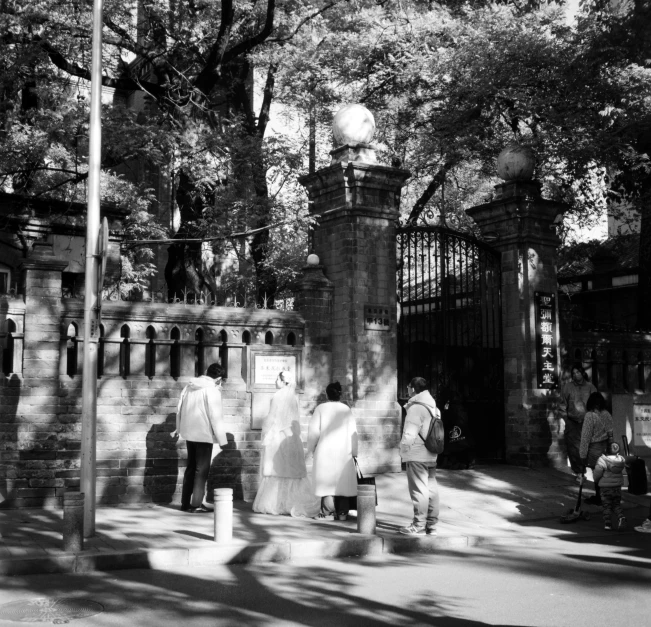 the people are standing near a gate and tree