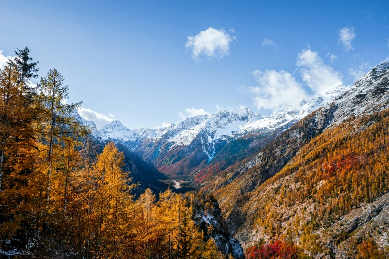 the mountains are covered with trees and foliage