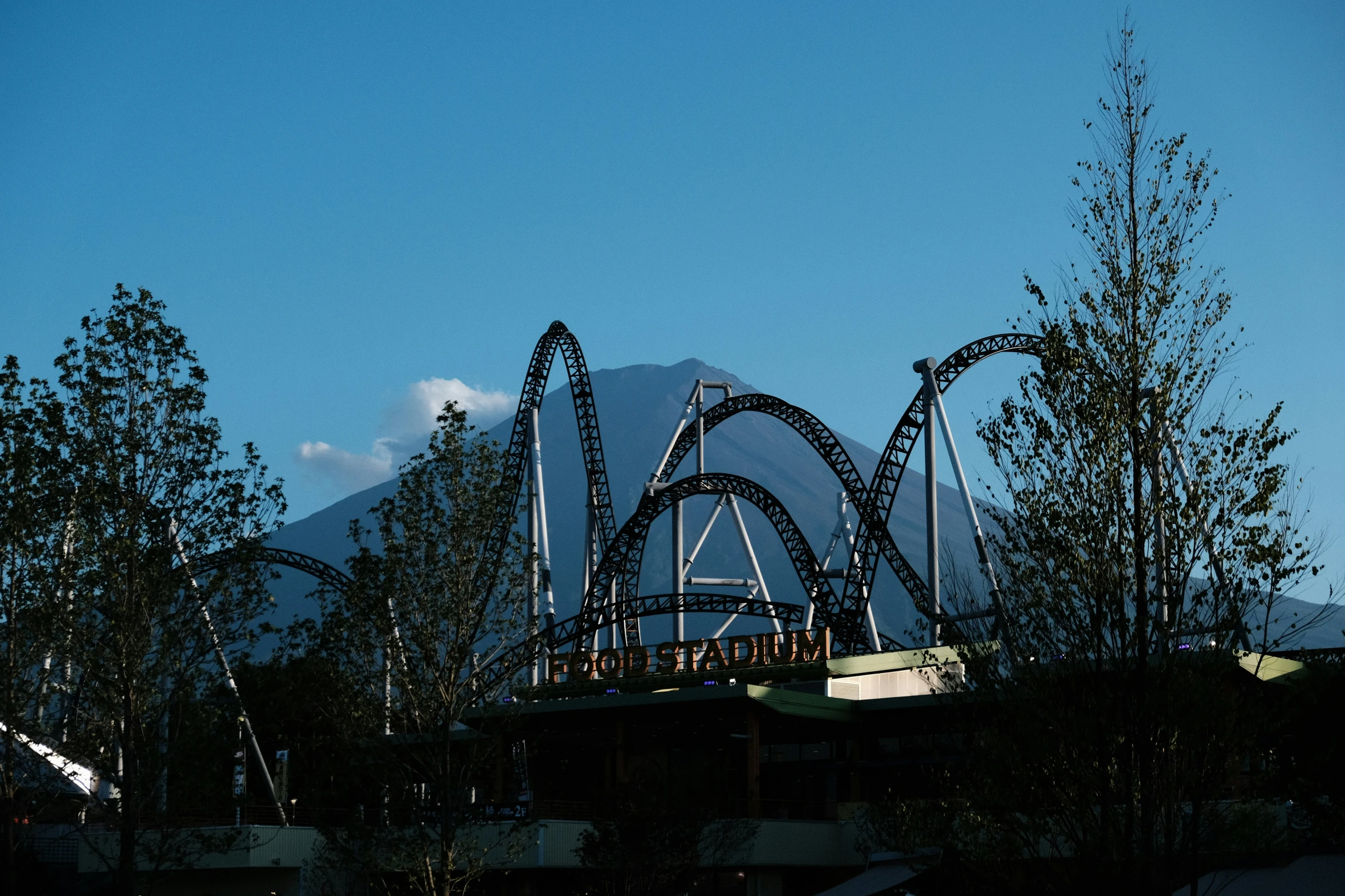 a couple of roller coasters near some trees