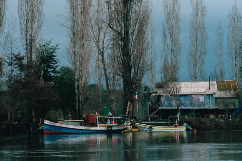 a few boats are docked near the shore