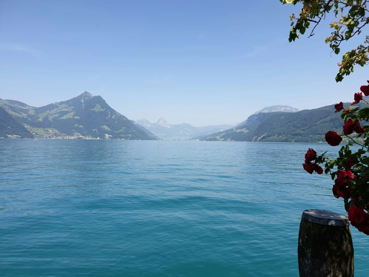 a lake and mountains in the distance with a wood post sticking out