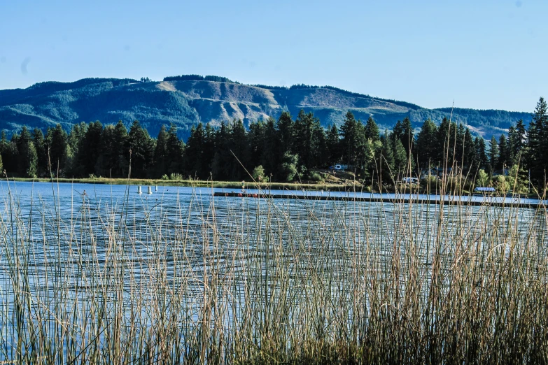 a view of a body of water with mountains in the background