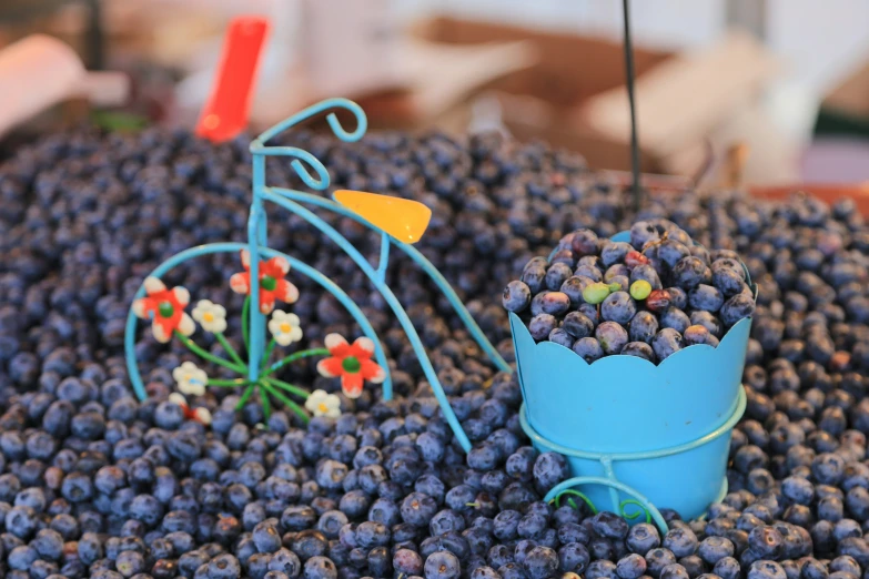 a bike next to a lot of blueberries