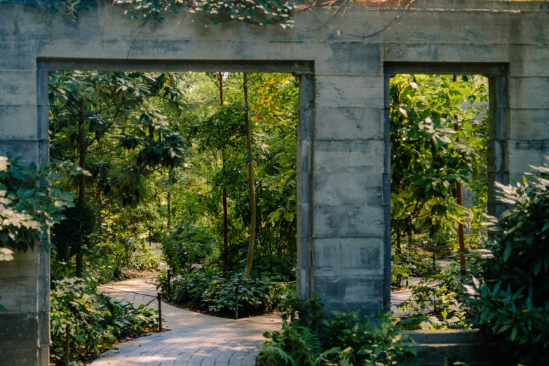 a view through a gate into an outdoor garden