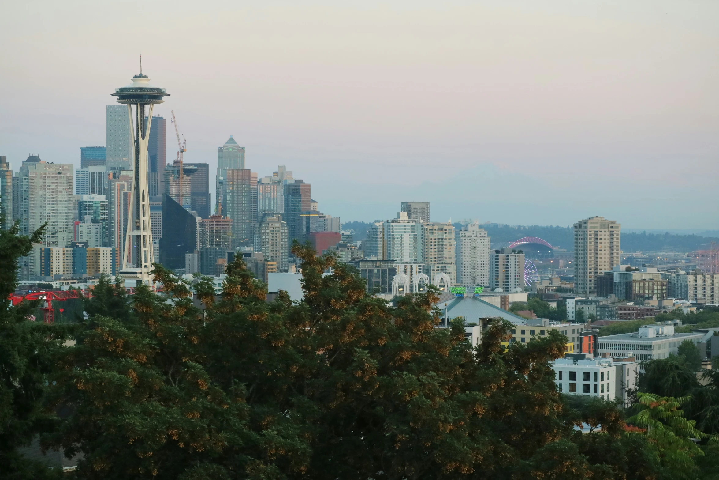 the view of the seattle skyline from atop the hill