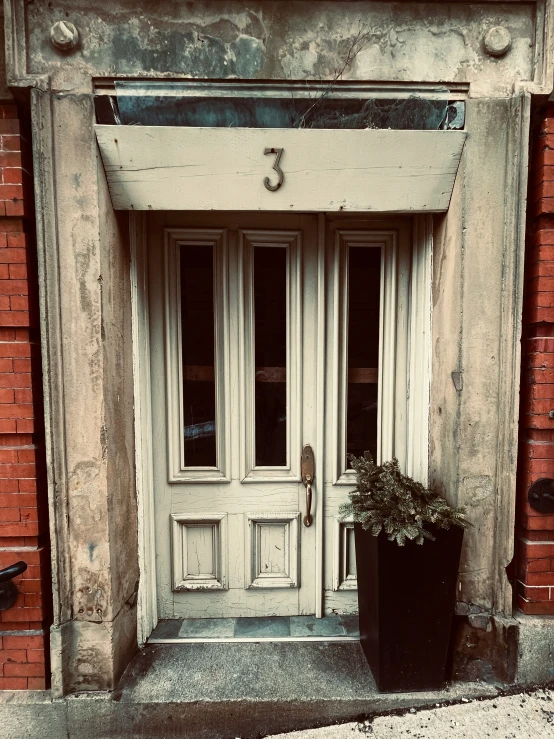 a doorway of a building with a plant by the door