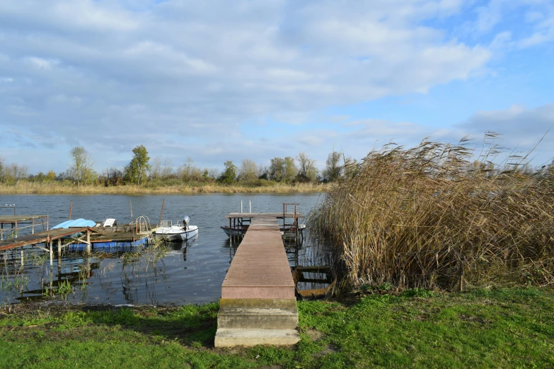 several boats docked on a lake with grass and weeds