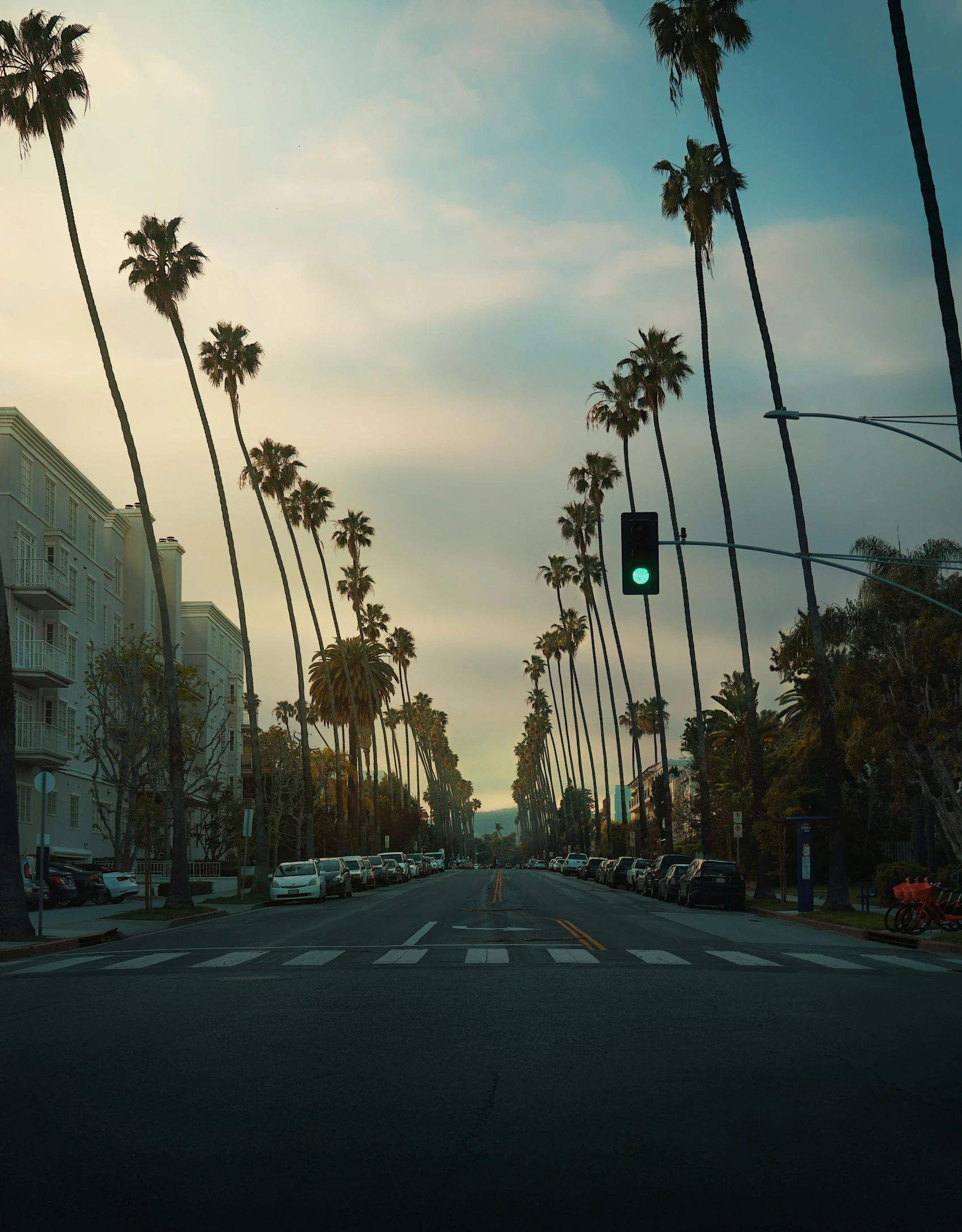 a street filled with palm trees next to tall buildings