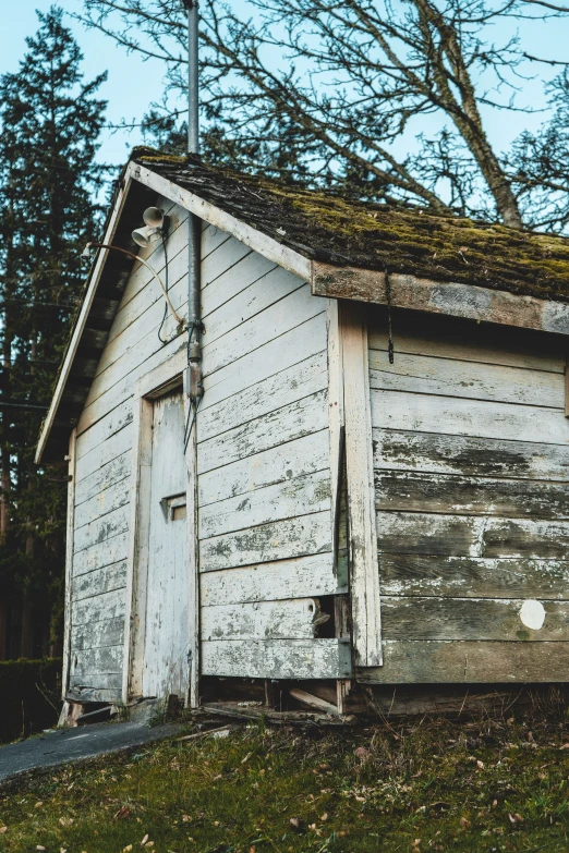 an old weathered shed with some moss on the roof