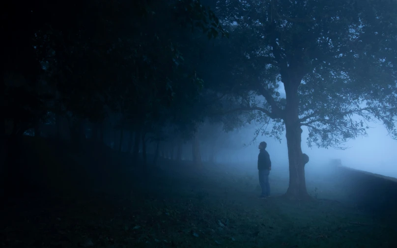 a person walking through the fog in a forest