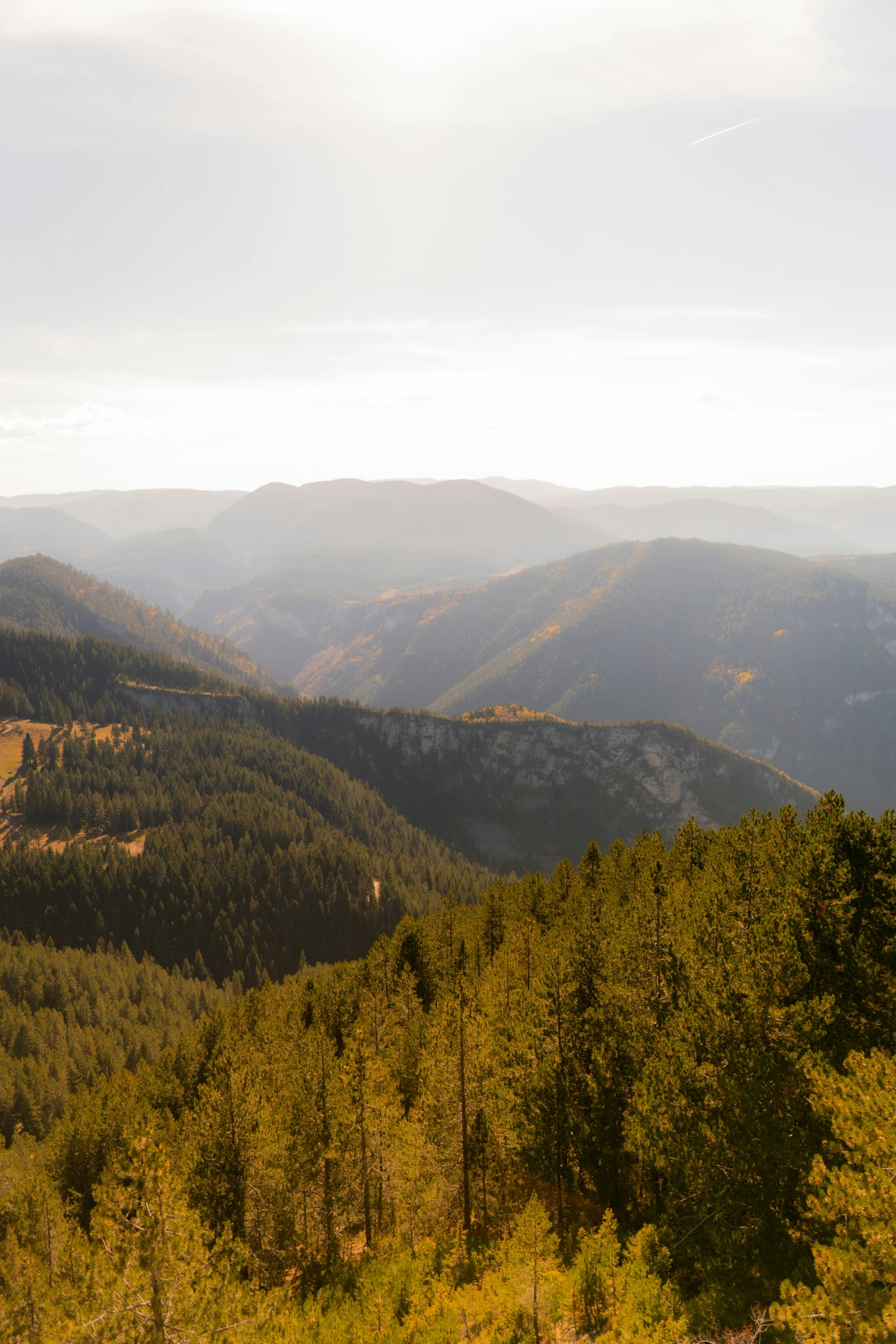 there are mountains that have trees on the hillside