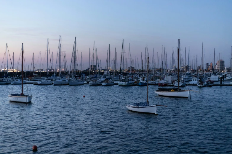 many sailboats in a bay with city buildings in the background