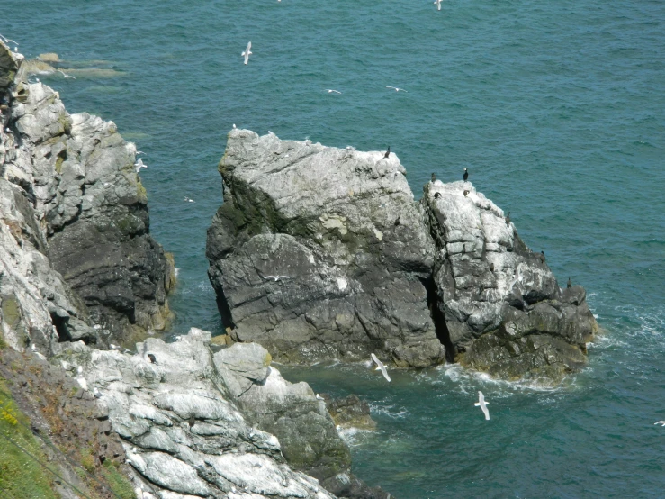 a sea gull sitting on top of large rock formation