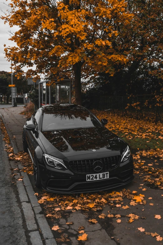 a black mercedes coupe parked on a side walk in front of some leaves