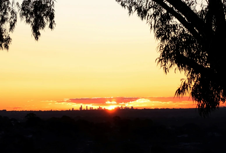 the sun setting through trees in the sky