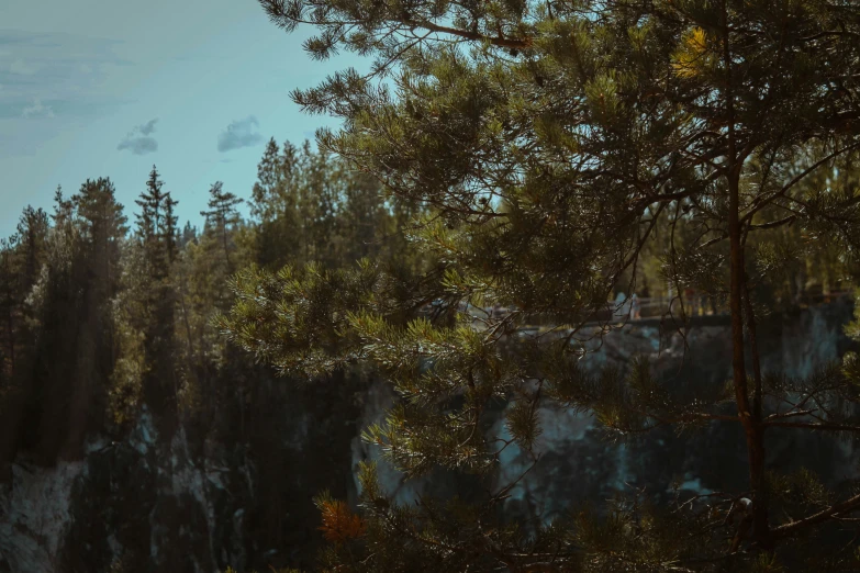 a view through the trees towards a cliff with rocks