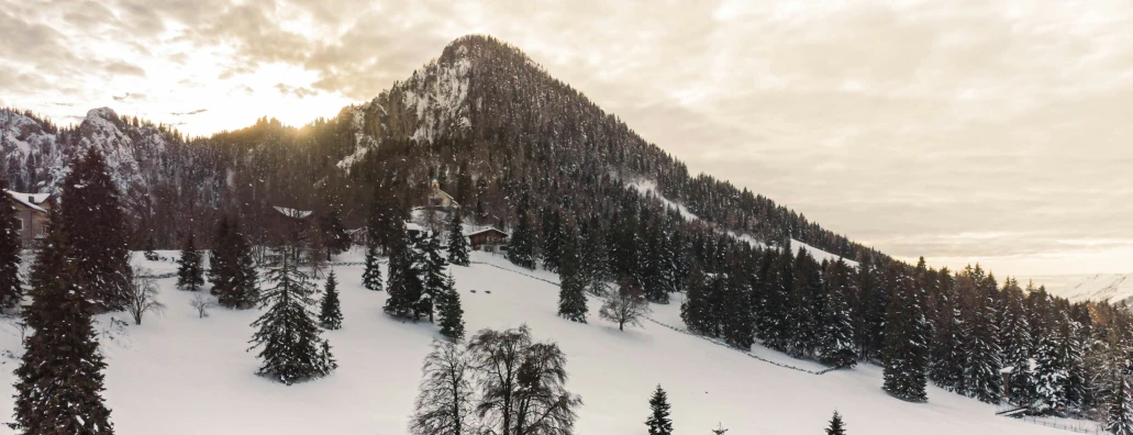 snow covered mountain side with many evergreen trees