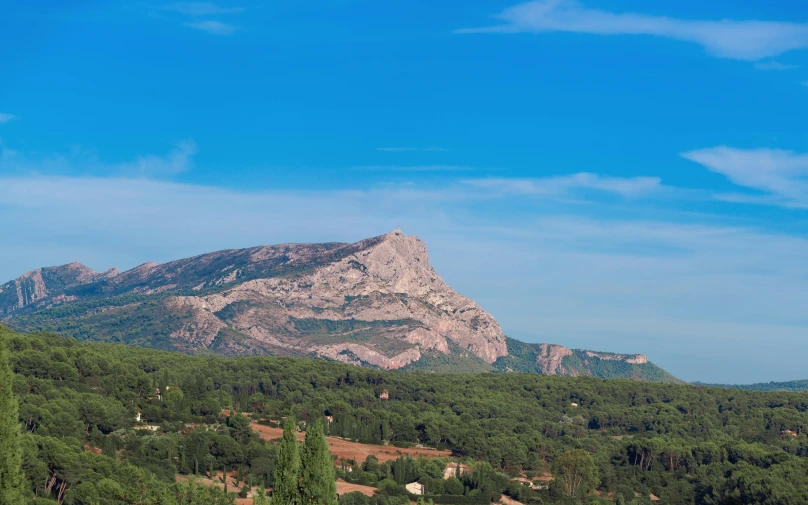 mountainside view with a tree line on either side