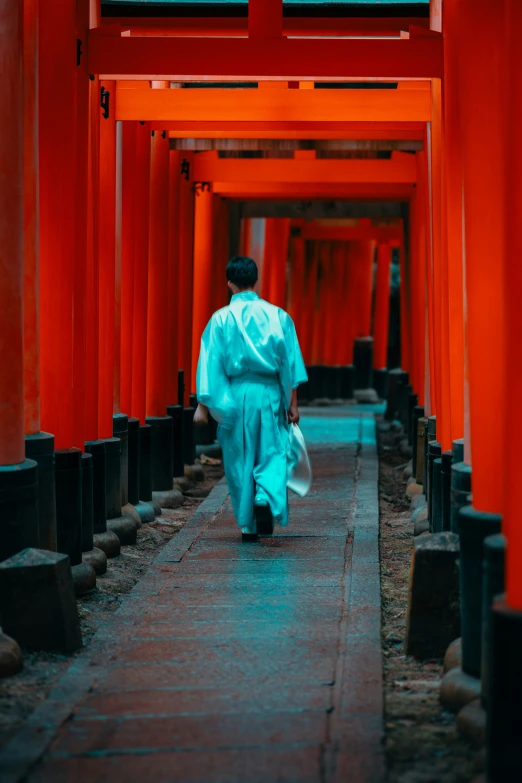 a person walking along a path covered in red pillars