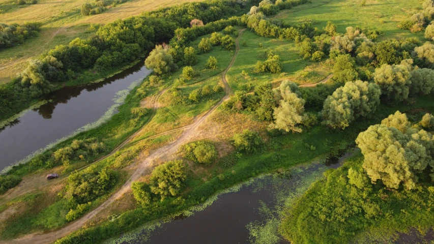 this is an aerial view of some trees and a river