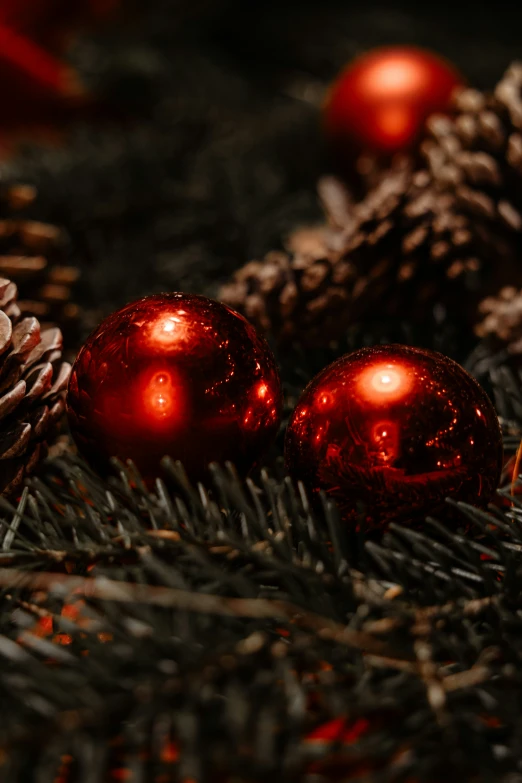 red ornaments in the shape of balls on fir tree