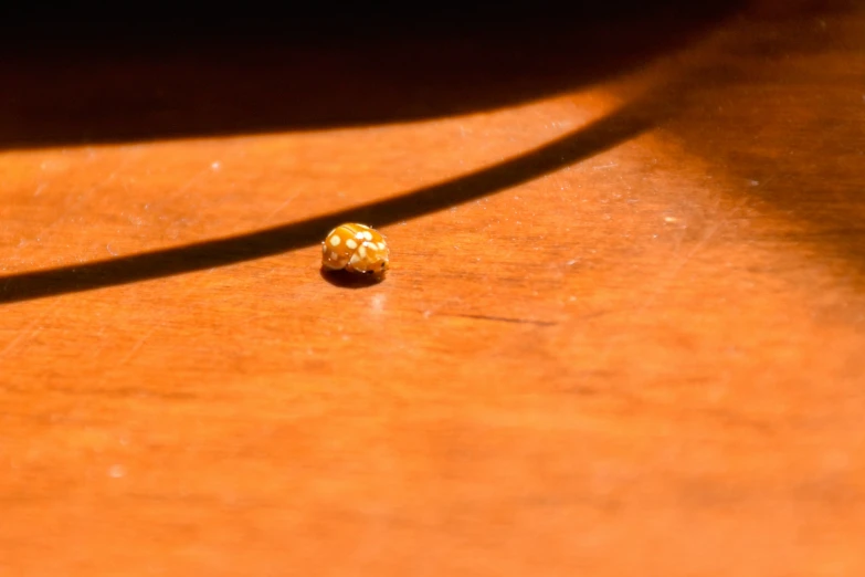 a little round, yellow object sitting on a table