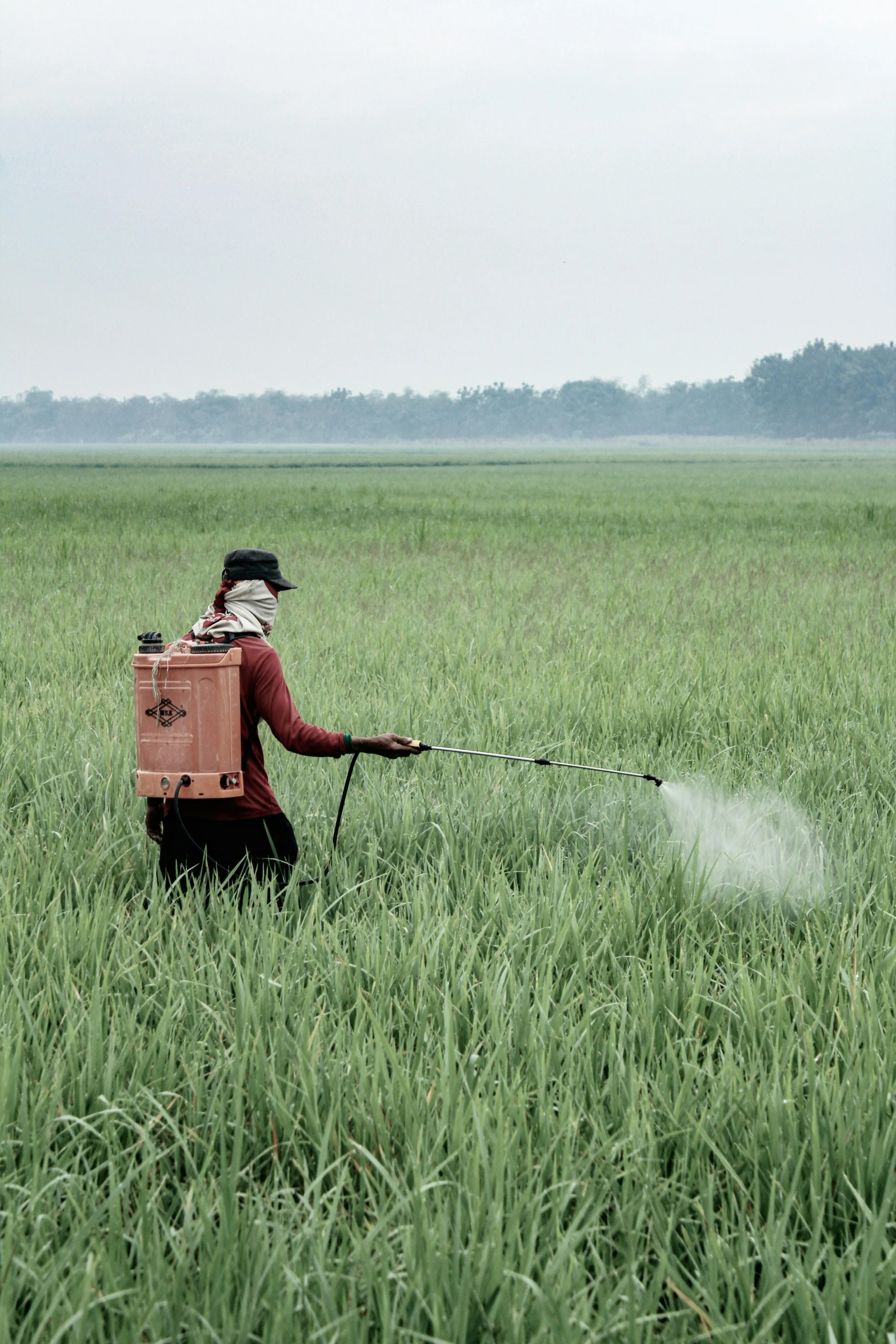 an image of a person spraying pesticides on grass