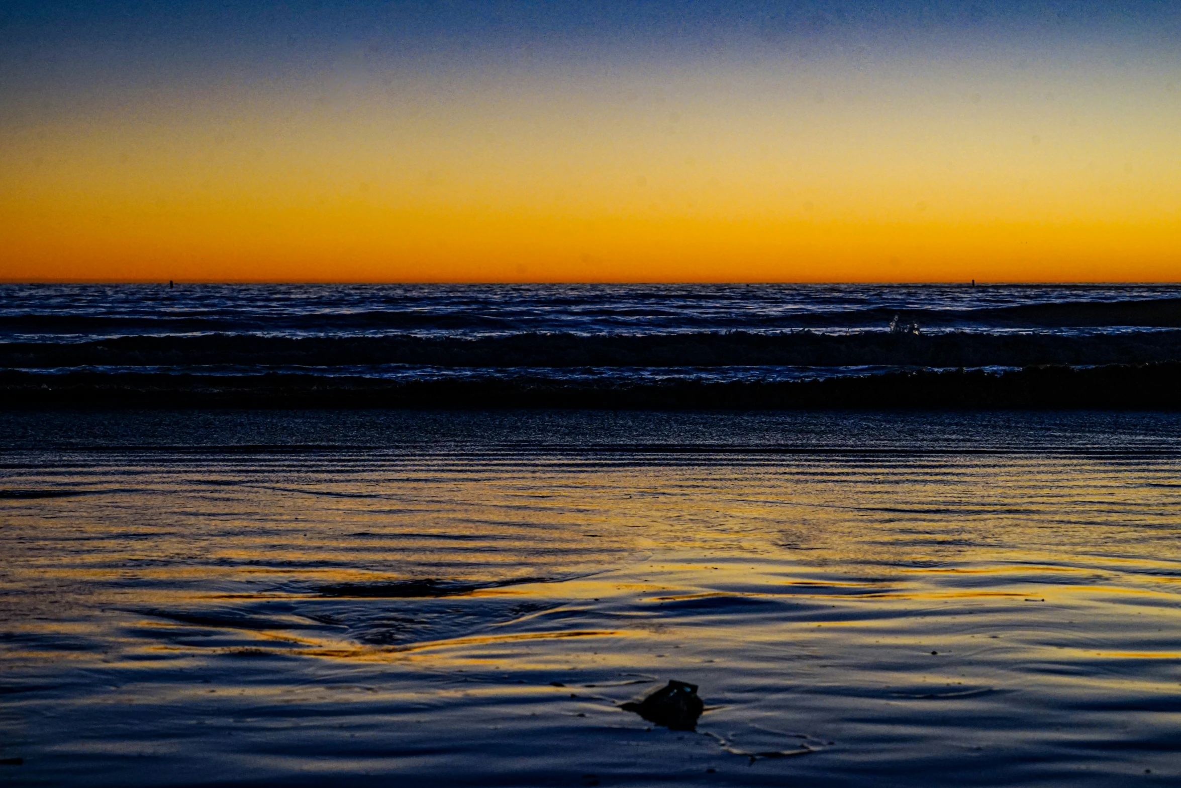 the sun sets as a bird stands on the beach