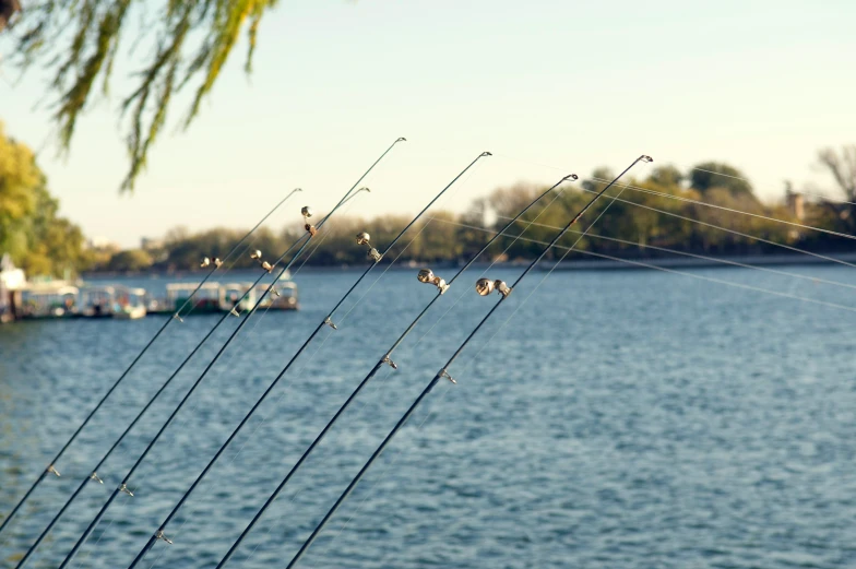 fishing poles on the edge of a body of water