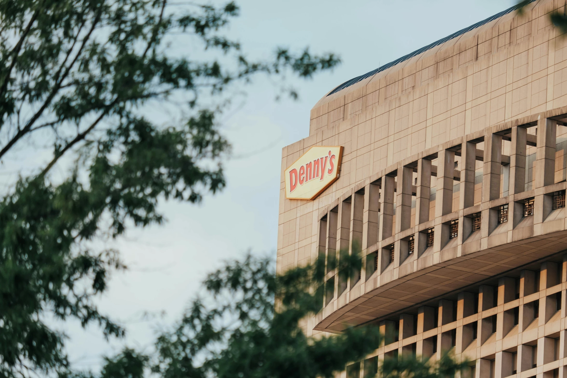 a burger king logo on a building behind tree nches