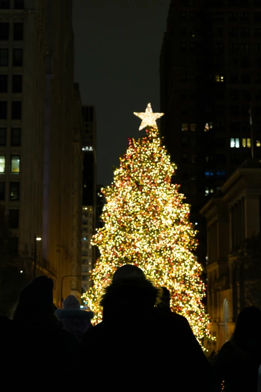 a large christmas tree sitting on top of a plaza next to tall buildings