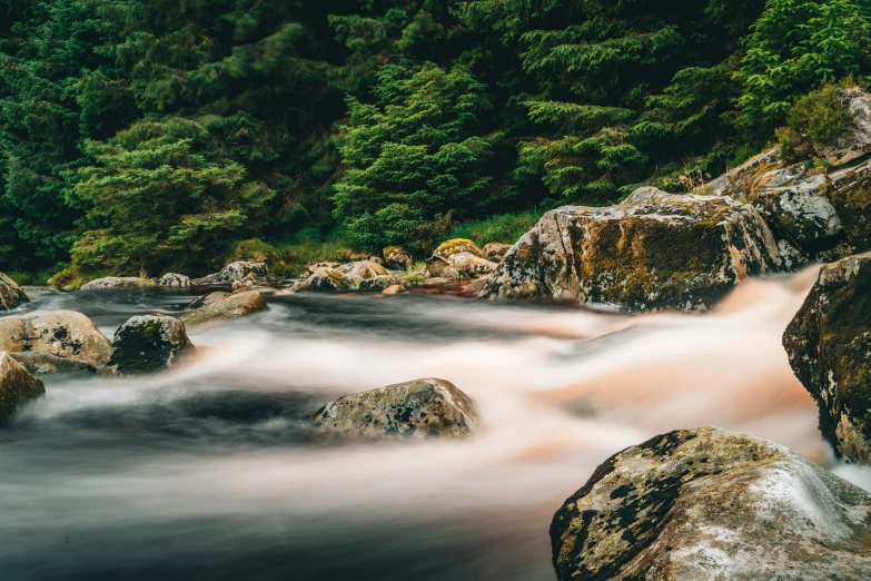 a river is rushing under trees on it