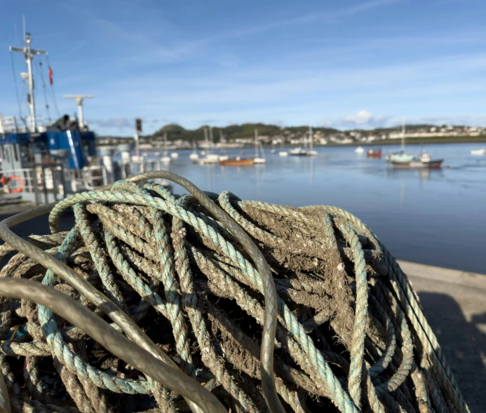 there are many different rope ropes outside by the water