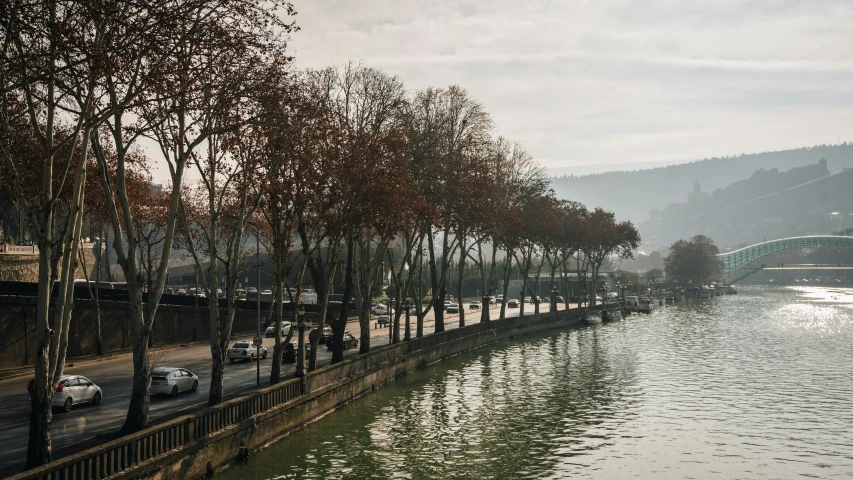 a river that has some trees near by