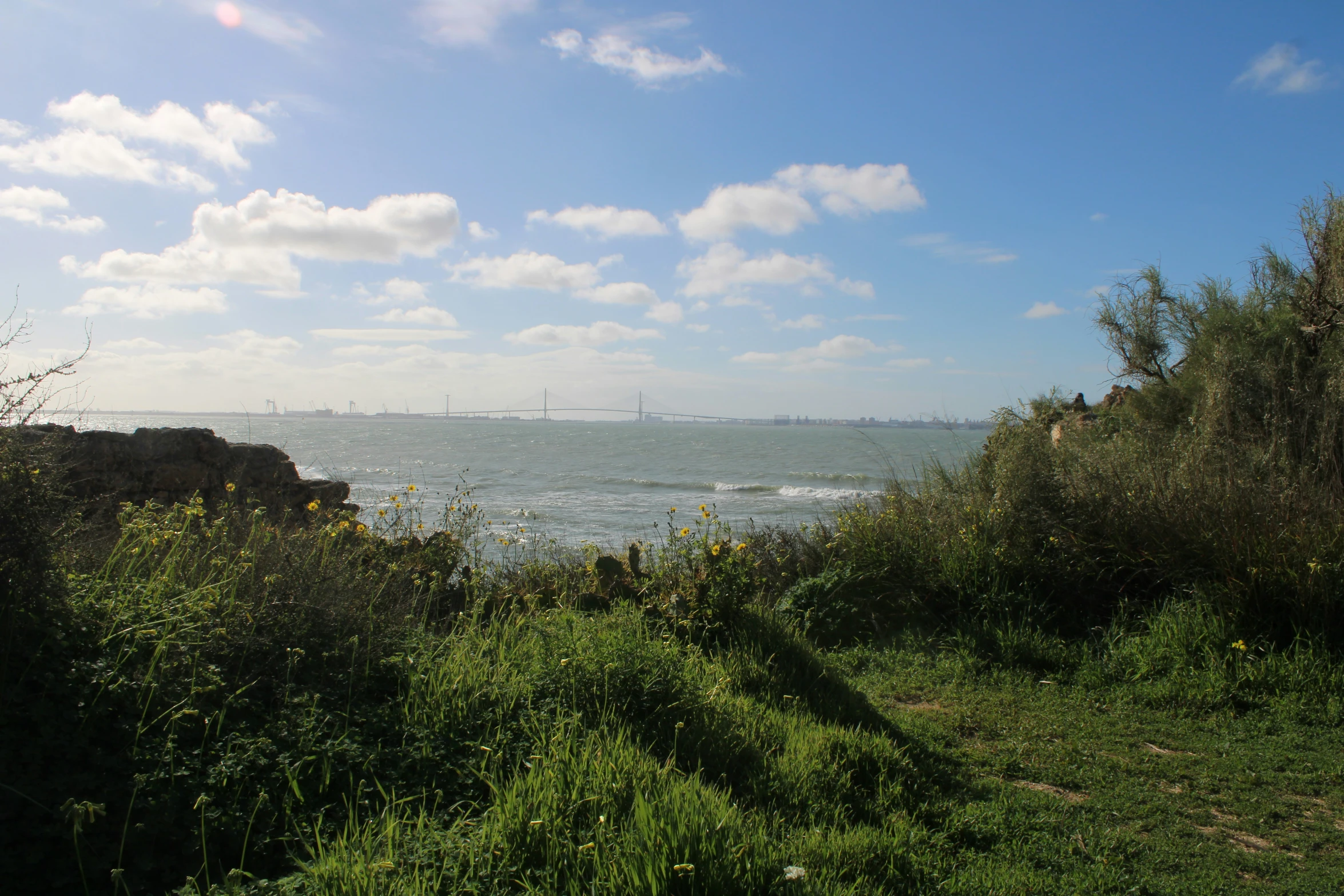 some grass bushes a body of water and clouds