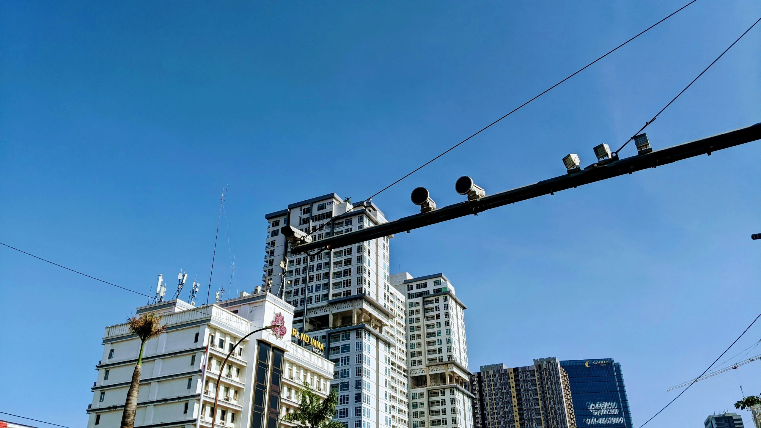 a group of birds sit on the wire in front of tall buildings