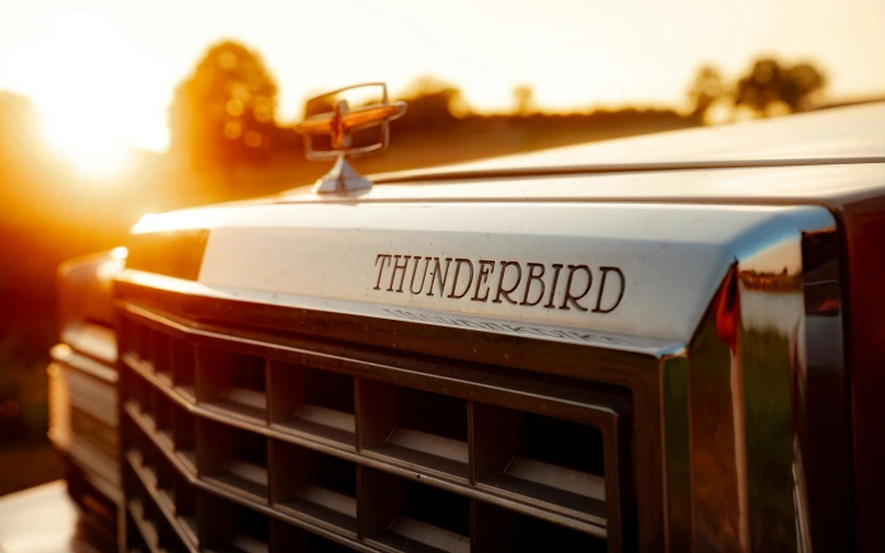 an image of the word thunderbird on the grille of a truck