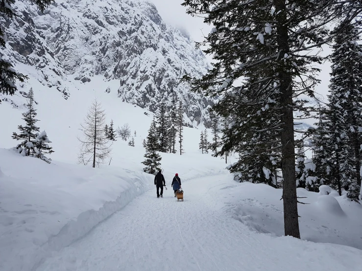 two people walk up a snow covered hill