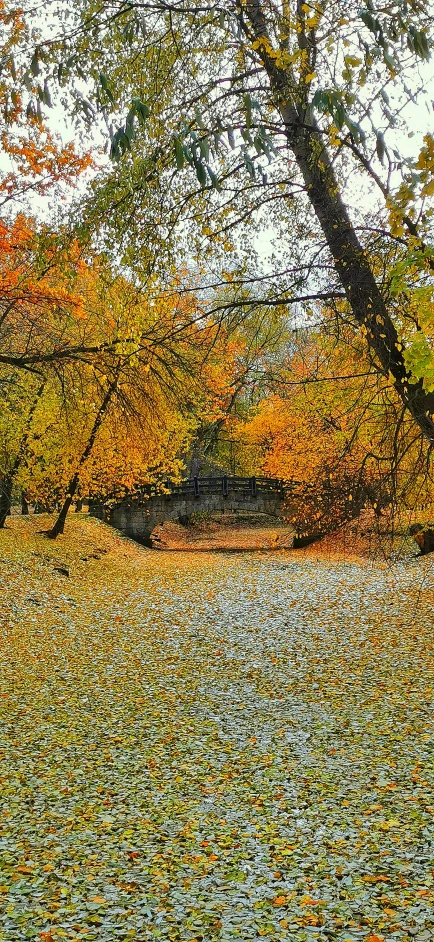 a park bench sitting next to a green park