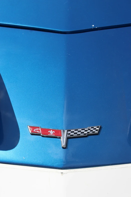 the hood ornament of a shiny car with checkered designs