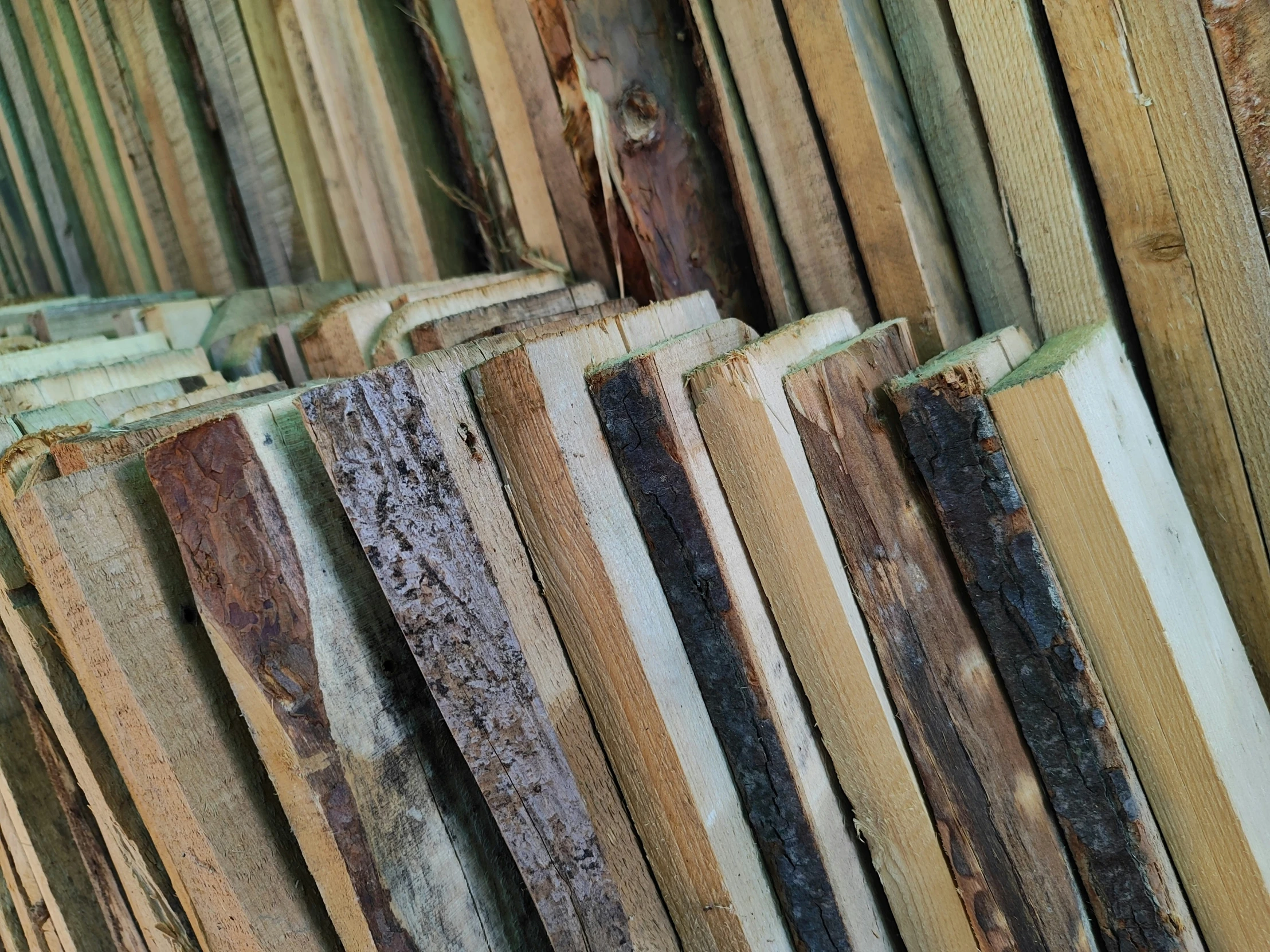 several strips of different colored wood in close up view