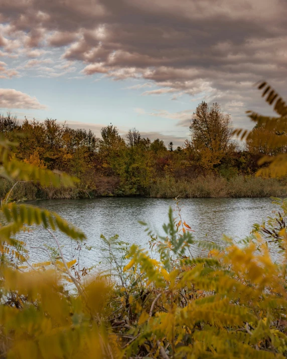 some trees water water bushes and clouds